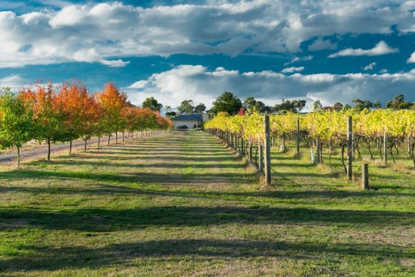 australia wine regions
